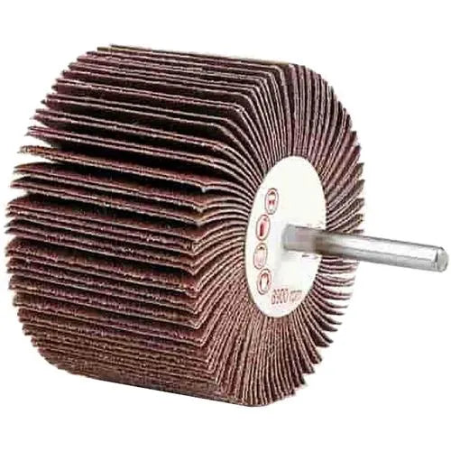 Flap Disc Wheel-β40x30x6ππ/P80-