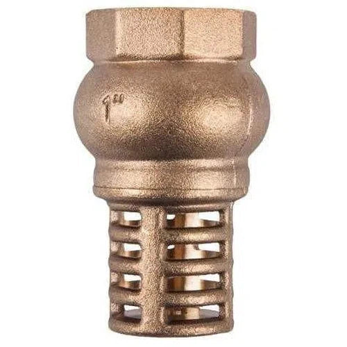 Foot Valve Brass Torrrenti-50𝑚𝑚-
