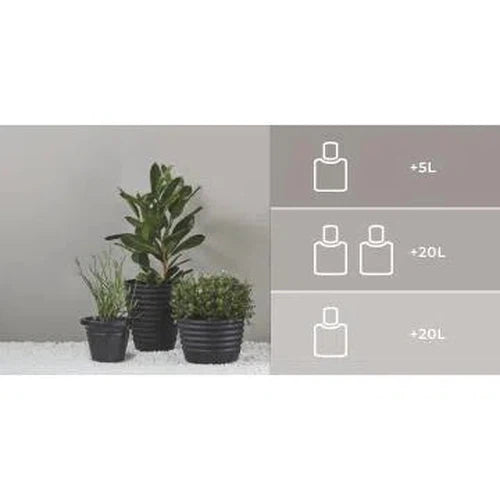 Paint Tint Color Pro Duram-Ridge-80mℓ-