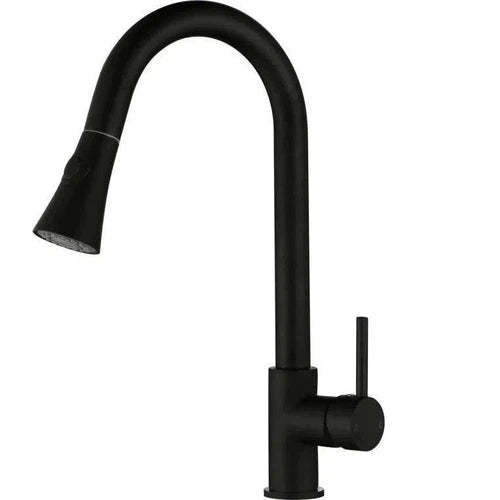 Tap Basin Mixer Pull out Spout Livorno-Taps-Livorno-Matt Black-diyshop.co.za