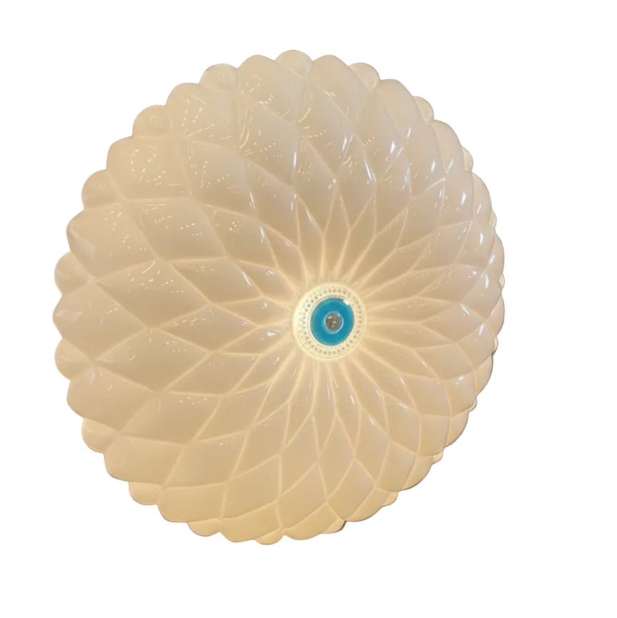 Ceiling Lamp LED BrunoX