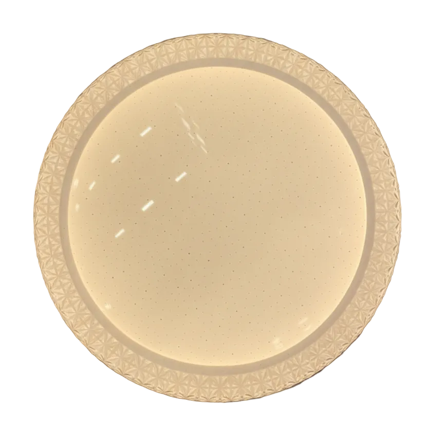 Ceiling Lamp LED BrunoX