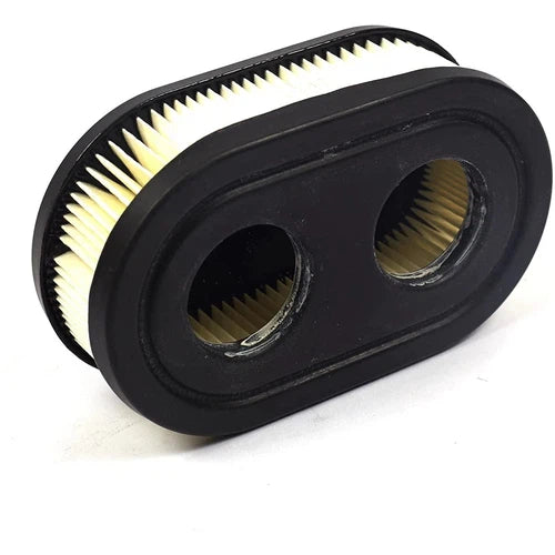 Air Filter for Lawnmowers 550/650/675 Series-Lawn Mower Accessories-Briggs & Stratton-diyshop.co.za
