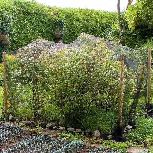 Bird Netting PE Knittex 𝑝/𝑚eter »-Shade Cloth-Knittex-diyshop.co.za