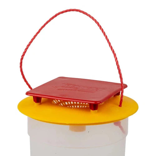 Fly Catcher Indoor Cup Complete Redtop-