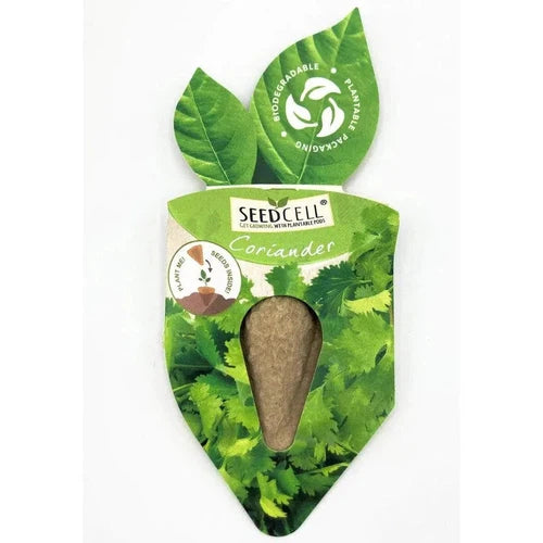 بذور عشبة الكزبرة SeedCell 