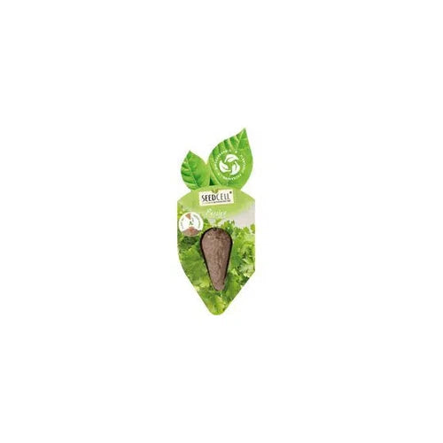 عشبة البذور البقدونس SeedCell 