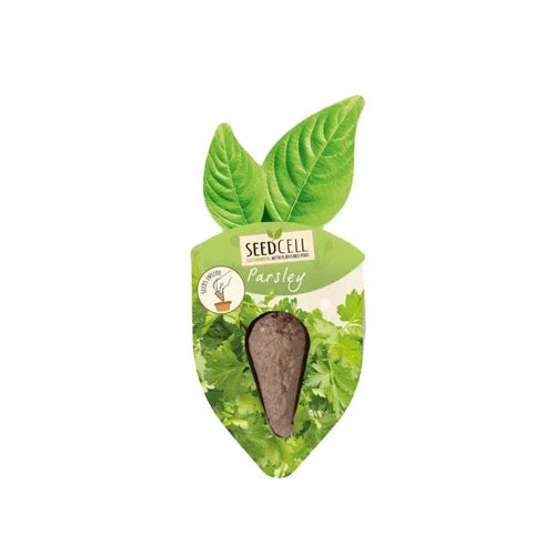 Herb Seed Parsley SeedCell-Single Pod-