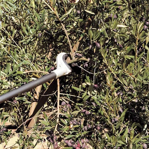 Special Harvester Hook Only for Olive Shaker STIHLⓓ-